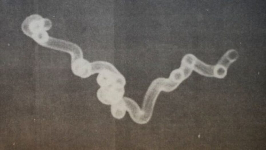 A noite em que 21 óvnis invadiram o espaço aéreo brasileiro e foram perseguidos por caças da FAB - Agora RN