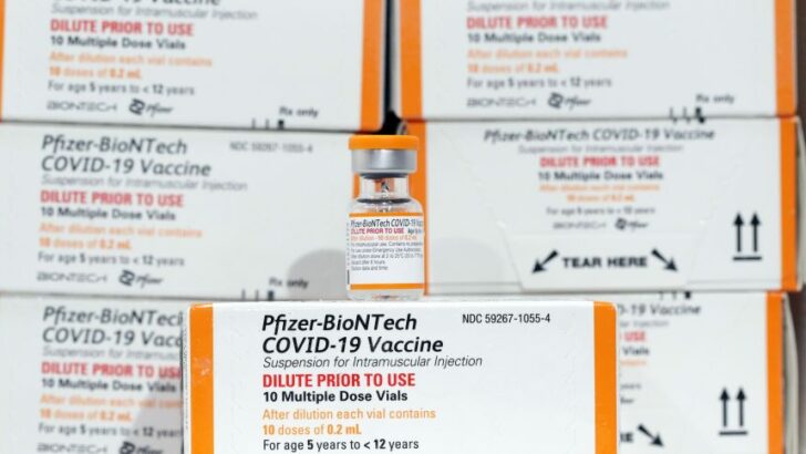 vacina pediatrica pfizer covid 19 12
