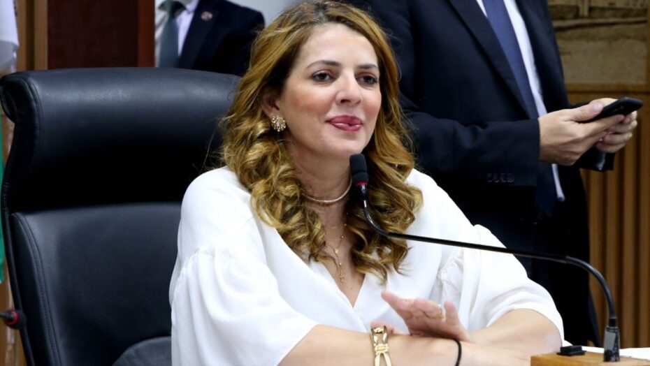 “Está complexo e confuso”, diz Nina Souza, sobre sucessão no RN - Agora RN