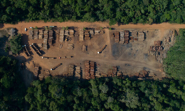 suspeito devastar amazonia