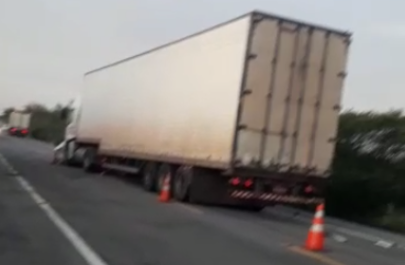 VÍDEO: Sete vacas morrem atropeladas por caminhão em acidente na BR 427, no interior do RN