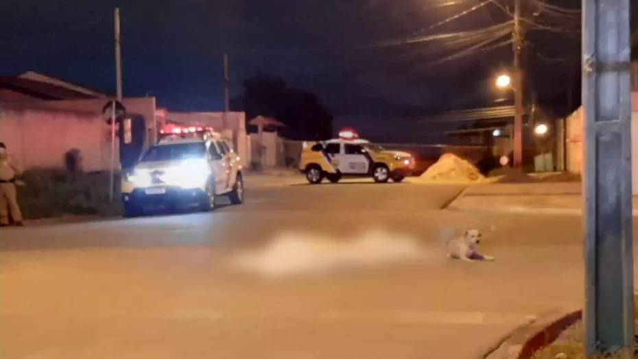 Cão fica ao lado de dono morto a pedradas e facadas - Agora RN