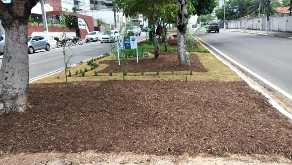 Programa Natal Mais Verde muda paisagismo de canteiros de Natal - Agora RN