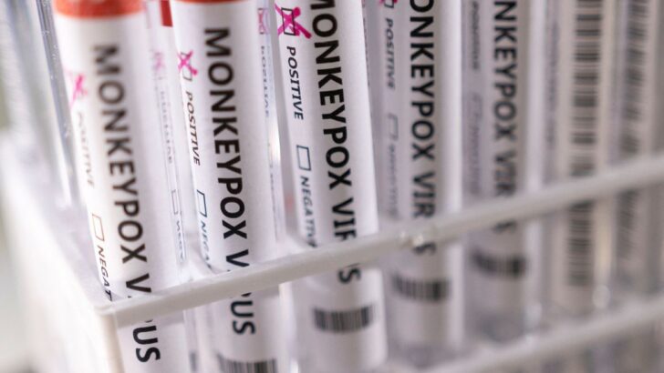 2022 05 23t222423z 1 lynxnpei4m100 rtroptp 4 health monkeypox 1