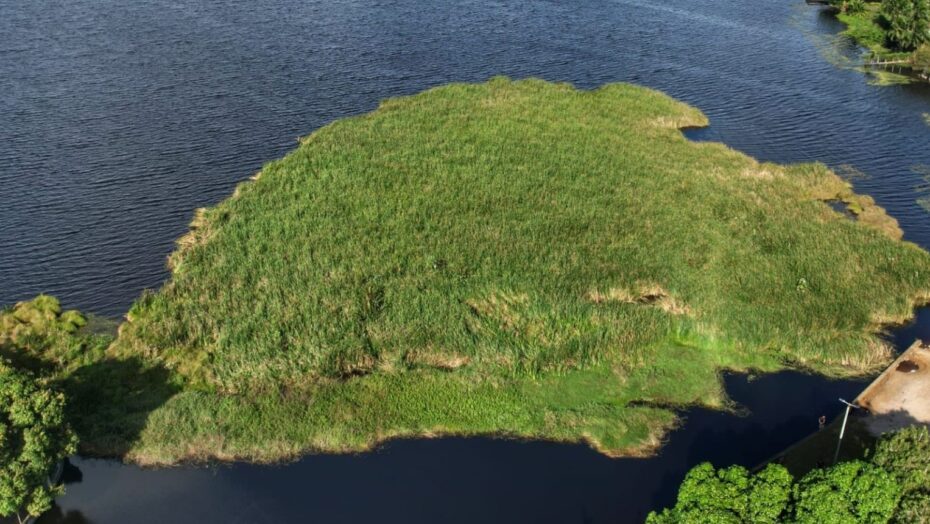 FCDAA371 E911 420F 88FF 9D05E2DD1372 1536x1536 2