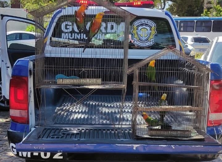 Em Parnamirim, dois homens são presos por manter animais em criadouro ilegal