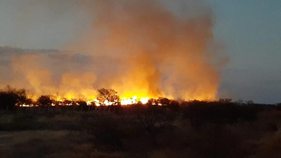 Bombeiros tentam controlar incêndio florestal no município de serra negra do norte | notícias do rio grande do norte WhatsApp Image 2022 10 06 at 19.31.17