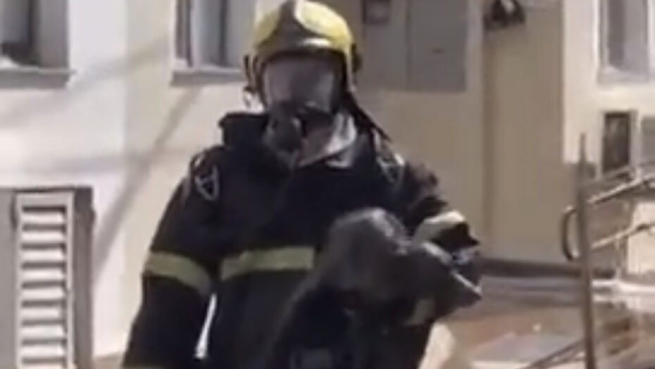 Cachorro é salvo após apartamento pegar fogo no ms e tutora se emociona; veja vídeo | notícias do rio grande do norte IMG 1650