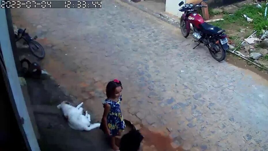 Bombeiros e polícia tentam encontrar criança desaparecida há 11 dias na paraíba | notícias do rio grande do norte Ana Sophia foi vista pela última vez no distrito de Roma, que pertence ao município de Bananeiras, na Paraíba | Foto: Reprodução