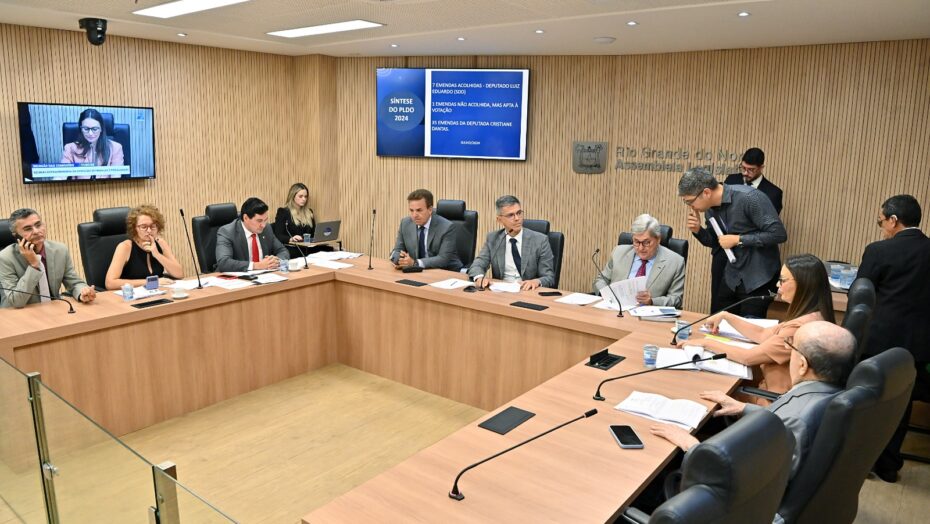 Comissão de Finanças da Assembleia RN aprova relatório da LDO 2024 - Foto: ALRN