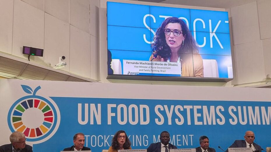 Brasil/comércio mundial de alimentos - Foto: Erika Mangili André/Secom