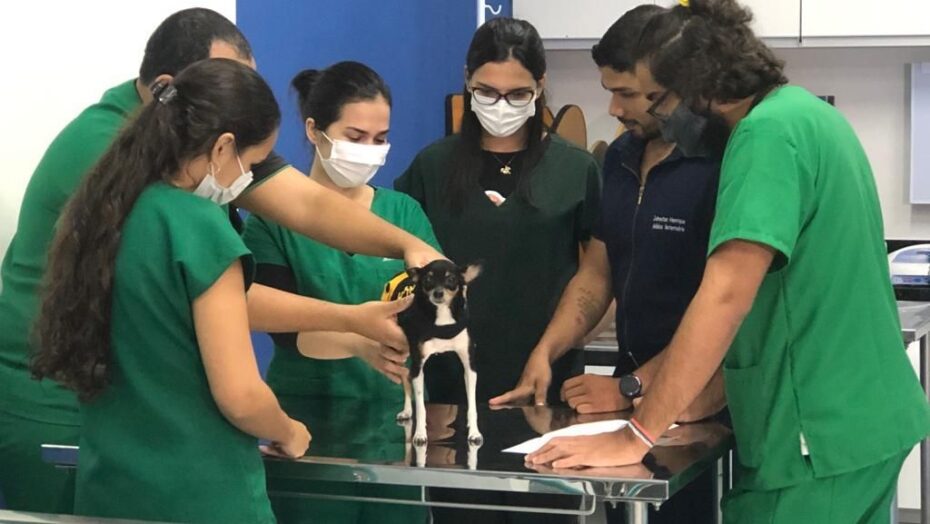 Foto: Divulgação UnP