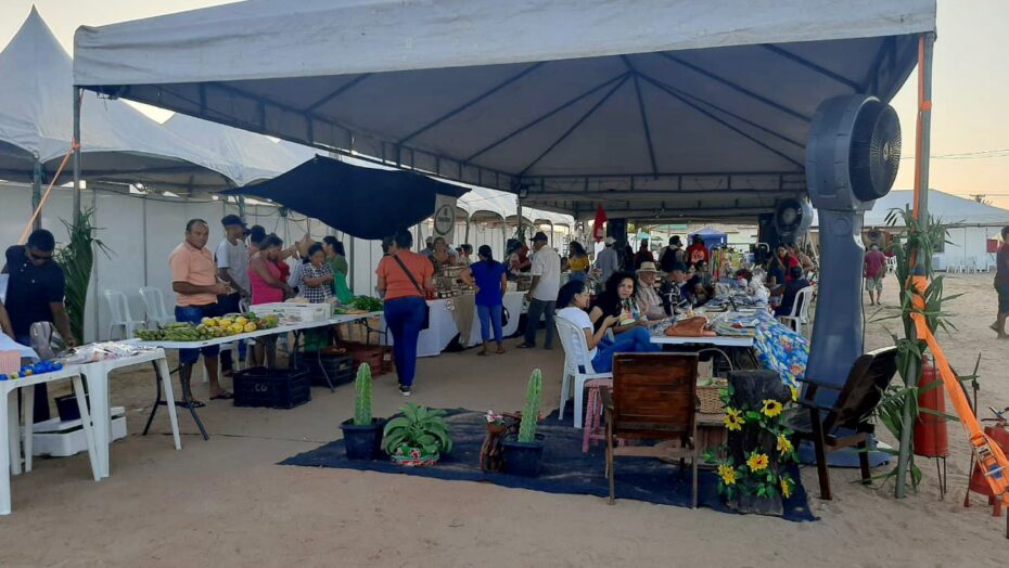 Foto: Divulgação Agropec