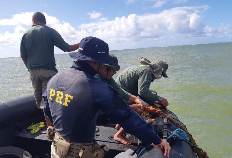 Três pessoas são presas em operação nos litorais potiguar, paraibano e peRio Grande do Norteambucano