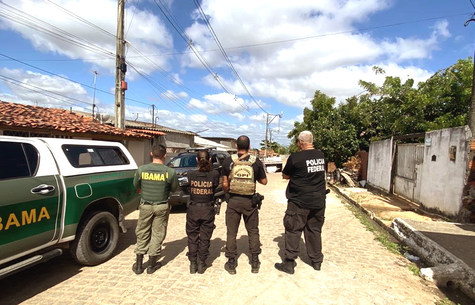 Animais silvestres eram utilizados em gravação de vídeos por influenciador digital. Foto: PF RN.