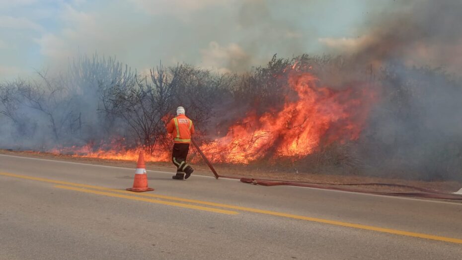 Em João Câmara, fogo se alastrou pela BR e, por pouco, não atingiu veículos. Foto: CBMRN.