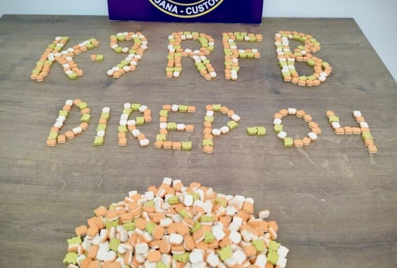 Pílulas de ecstasy escondidas em "porquinho" eram avaliadas em R$ 50 mil. Foto: Divulgação.