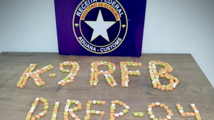 Pílulas de ecstasy escondidas em "porquinho" eram avaliadas em R$ 50 mil. Foto: Divulgação.