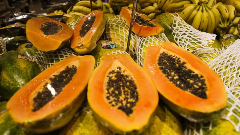 Rn tem acordo firmado de exportação de mamão para o chile | notícias do rio grande do norte RN fará exportação de mamão papaya para o Chile. Foto: Valter Campanato/Agência Brasil