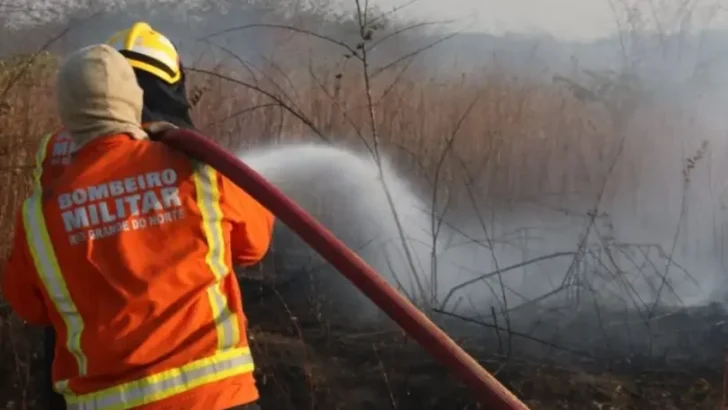 A corporação revelou que atendeu a um total de 1.374 ocorrências de incêndios em vegetação. Foto: Divulgação/CBMRN