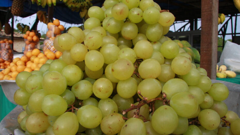 Nordeste tem sido destaque na produção de uvas - Foto: José Aldenir / Agora RN