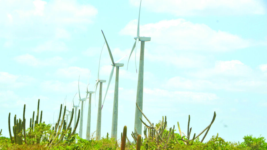 Parque Eólico no RN / Foto: divulgação