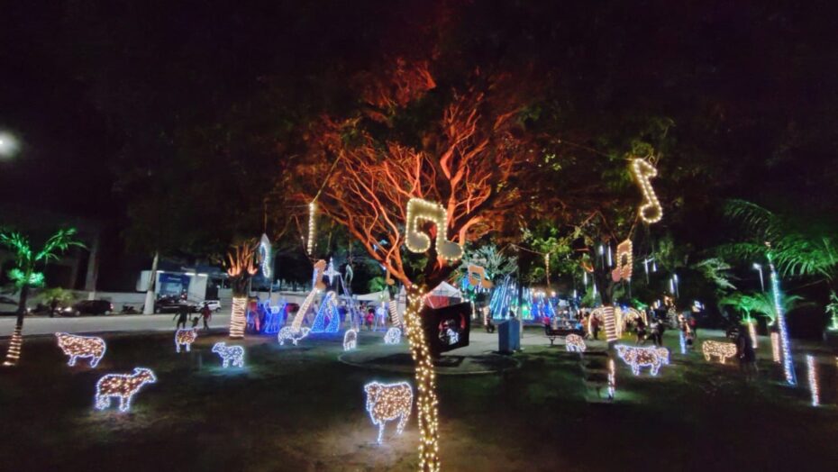Acendimento das luzes abre programação natalina de macaíba que segue com shows até o dia 22 | notícias do rio grande do norte Decoração Natalina de Macaíba. Foto: Edeilson Morais
