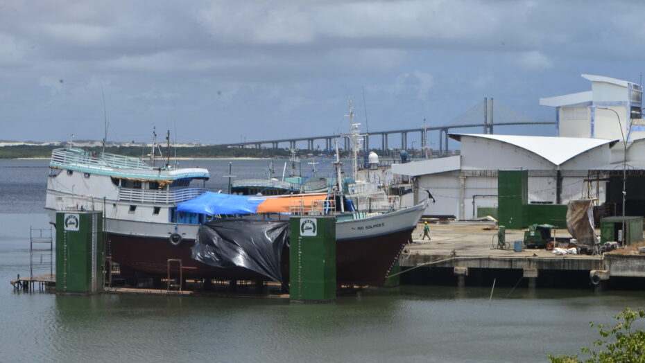 Governo federal suspende pesca do atum e dá prejuízo de r$ 30 milhões ao setor só no rn; leia coluna de luiz almir | notícias do rio grande do norte pesca do Rio Grande do Norte