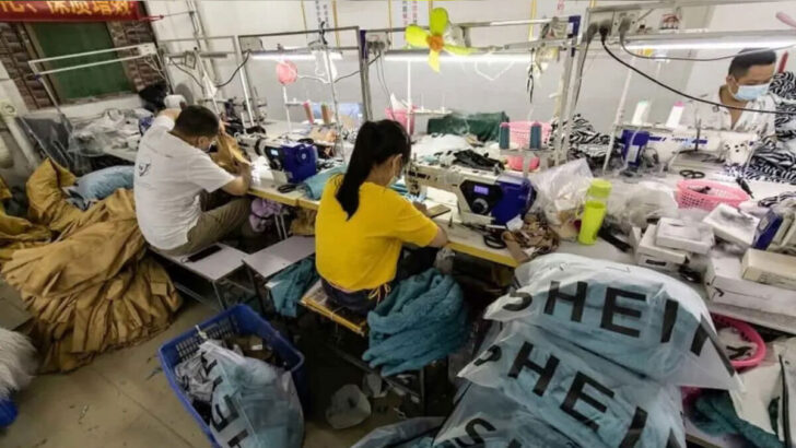 Shein no RN: Sedec n&atilde;o sabe quais fatores est&atilde;o dificultando produ&ccedil;&atilde;o