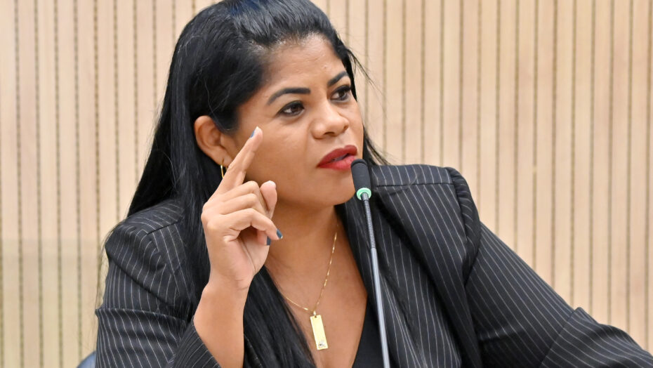 vilma 2