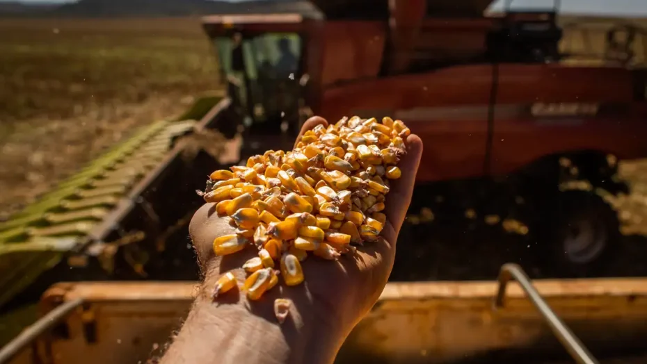 GoveRio Grande do Norteo investe mais de R$ 950 milhões em estradas vicinais - Foto: Wenderson Araújo/Trilux