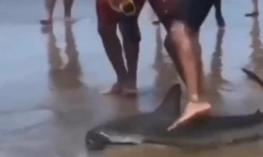 WhatsApp Image 2024 01 07 at 11.59.29