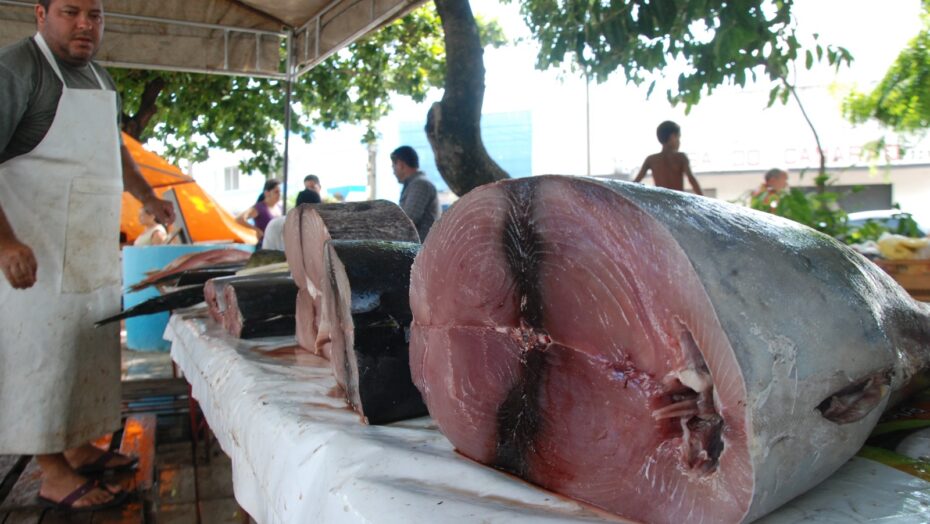 Semana Santa &eacute; bom per&iacute;odo de vendas, mas n&atilde;o vai recuperar preju&iacute;zos. Foto: Jos&eacute; Aldenir / Agora RN