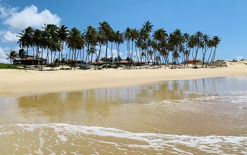 rio do fogo dest.jpg