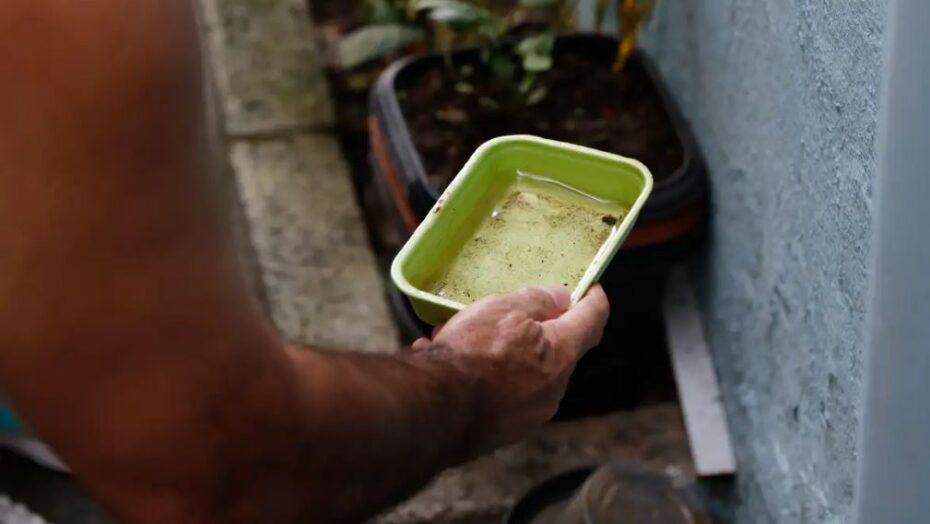 Ministério da saúde destina r$ 1,5 bilhão para estados e municípios em surto de dengue | notícias do rio grande do norte Evitar acúmulo de água parada é principal estratégia para evitar a dengue - Foto: FERNANDO FRAZÃO / AGÊNCIA BRASIL