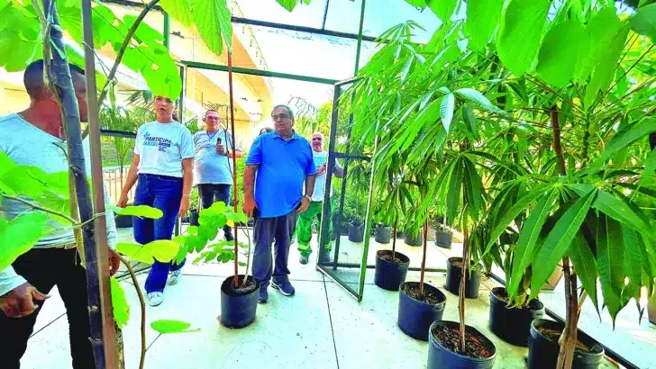 Prefeito visita Espaço Natal Sustentável Viveiro Municipal foto Donato Fernandes