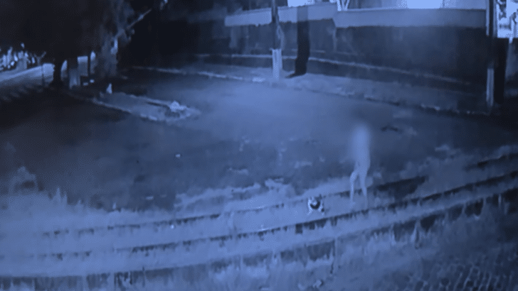 Vânia é vista de pé na linha do trem, interagindo com um gato antes de ser atropelada / Foto: reprodução