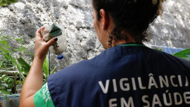 O controle da dengue e do mosquito estão entre os maiores desafios da saúde pública no Brasil - Foto: Fernando Frazão / Agência Brasil