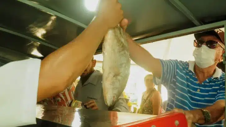 peixe