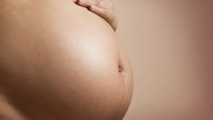 pregnant 2635034