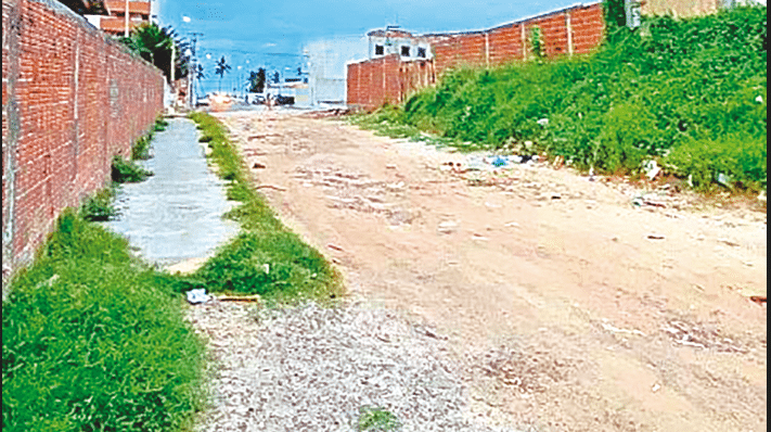 Terreno tem quase 1 mil m² de área. Foto: Reprodução.