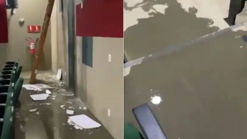 Capturar