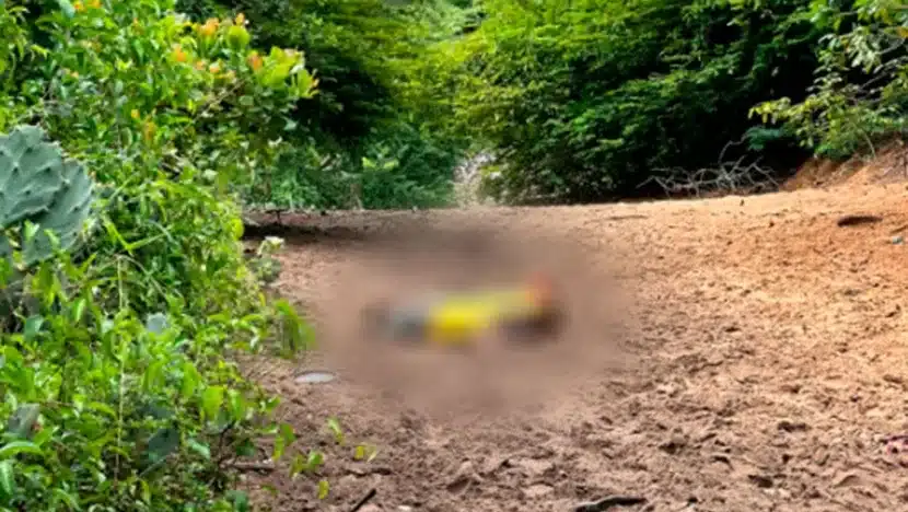 Polícia investiga morte de homem que teve corpo jogado aos porcos no planalto | notícias do rio grande do norte Corpo foi encontrado em estágio de decomposição e rosto desfigurado foto cedida