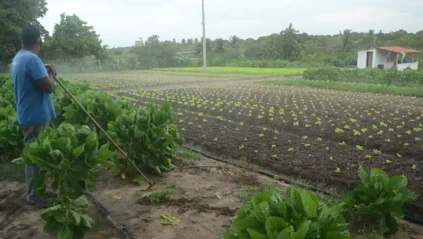 Produtores rurais atingidos por desastres climáticos poderão renegociar dívidas do crédito rural | notícias do rio grande do norte Visita do Ministro Paulo Teixeira Bom Jesus RN (6)