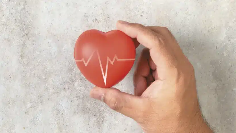 hipertensao arterial a pressao alta e silenciosa e ameaca o coracao capa 1