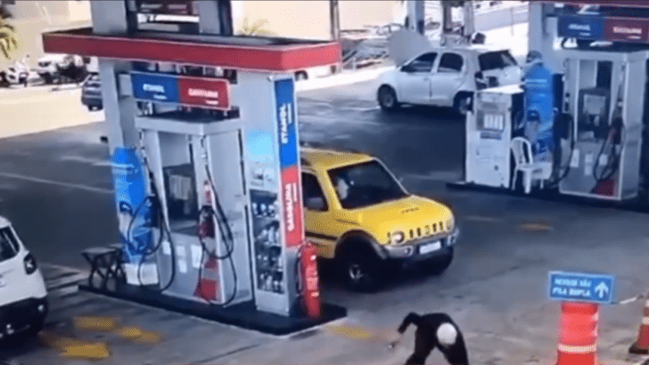 suspeito é baleado em tentativa de assalto a posto no satélite quinta 11