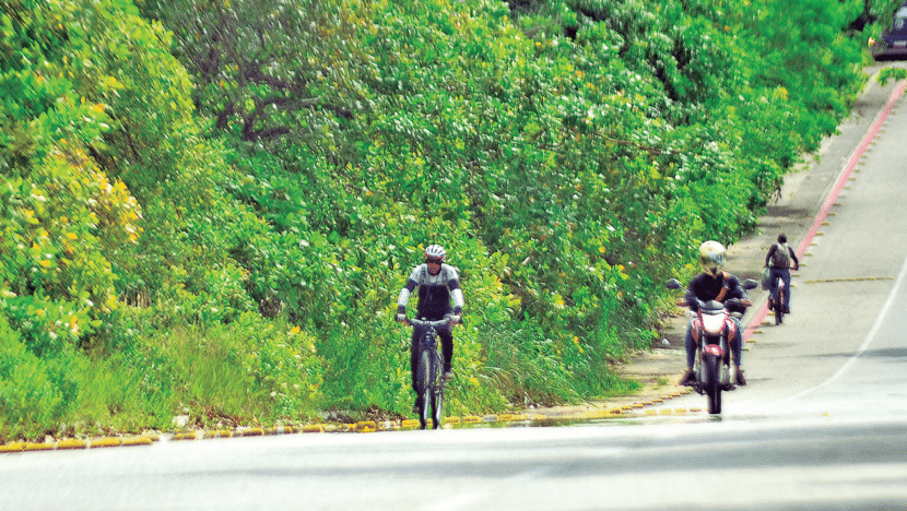Ciclistas reclamam que precisam trafegar pela via dos carros e motos porque ciclovia está invadida pela vegetação - Foto:José Aldenir/Agora RN