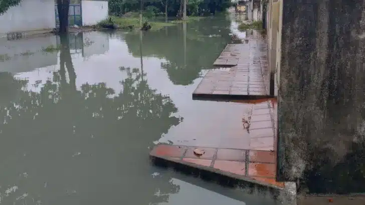Capturar