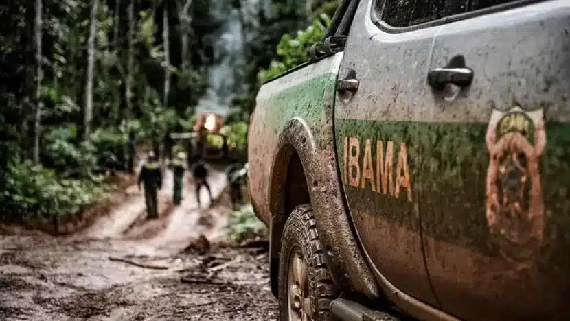 Servidores ambientais decidem fazer paralisação geral no dia do meio ambiente / Foto: reprodução