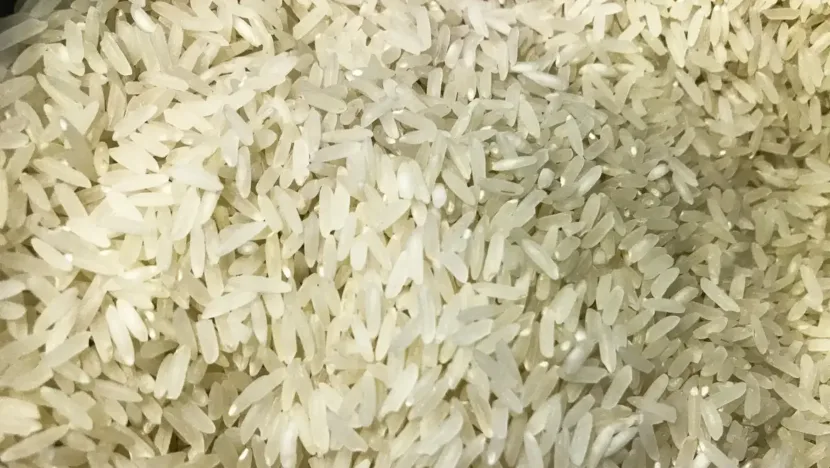 Arroz. Marcelo Casal Jr./Ag&ecirc;ncia Brasil